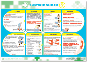 Wallace Cameron Electric Shock Poster Laminated Wall-mountable W590xH420mm Ref 5405026