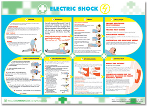 Wallace Cameron Electric Shock Poster Laminated Wall-mountable W590xH420mm Ref 5405026 Ident: 550B