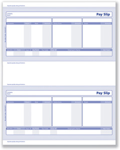 Communisis Sage Compatible Pay Advice Laser or Inkjet 210x102mm Ref DUKSA011 [500 Forms/1000 Payslips] Ident: 23A
