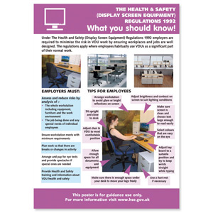 Stewart Superior Display Screen Equipment Laminated Guidance Poster W420xH595mm Ref HS110