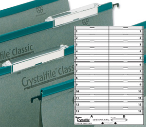 Rexel Crystalfile Classic Card Inserts for Linked File Extra-deep Tabs White Ref 78290 [Pack 50] Ident: 210F