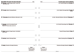 Filofax 2013 Diary Refill Insert Week to Page W148xH210mm A5 Ref 6851713 Ident: 304C