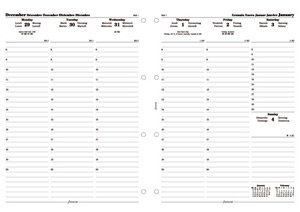 Filofax 2013 Diary Refill Insert Week to View A4 Ref 6871413 Ident: 304C