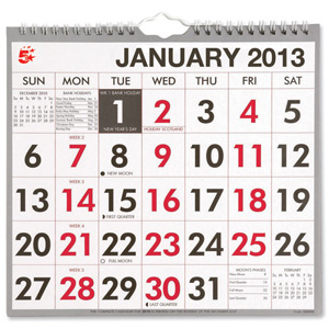 5 Star 2013 Wall Calendar Wirebound Month to View Large Figures W249xH231mm Ident: 314C
